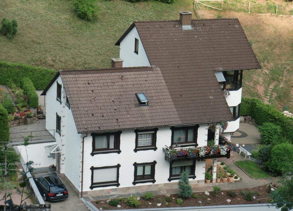 Ferienwohnung Uli Schaetzle Хорнберг Екстериор снимка