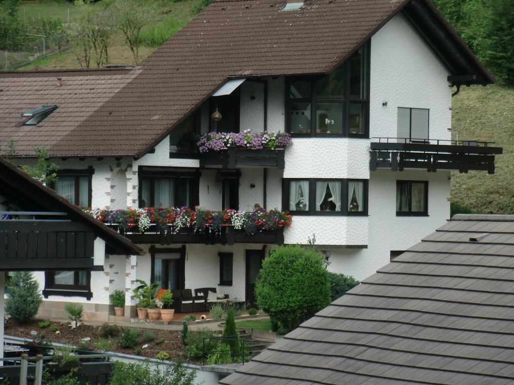 Ferienwohnung Uli Schaetzle Хорнберг Екстериор снимка